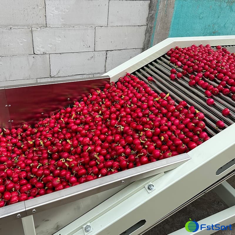 images/1705477968709cherry radish grading machine.jpg